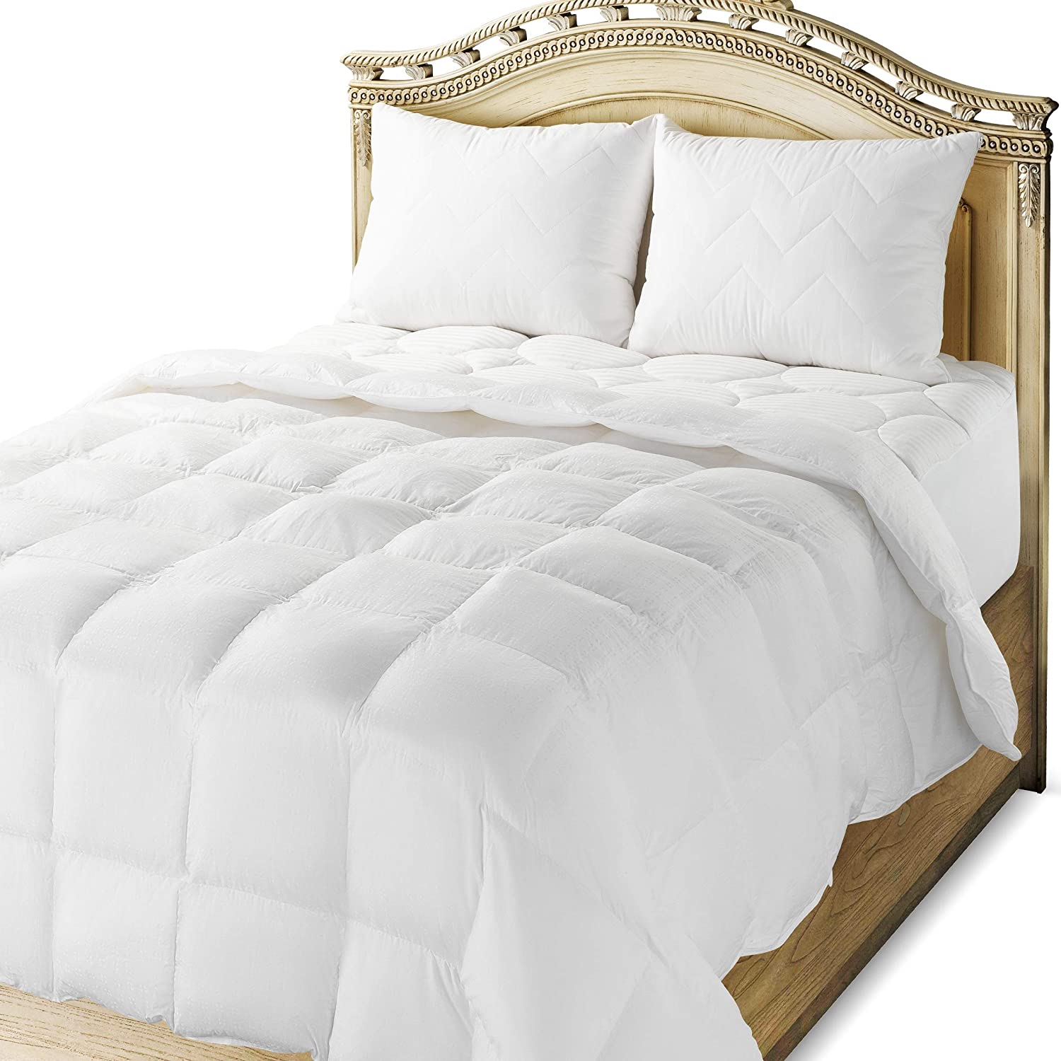 maxi-down-alternative-cotton-blanket-mxi-bkt-duvt-ctn